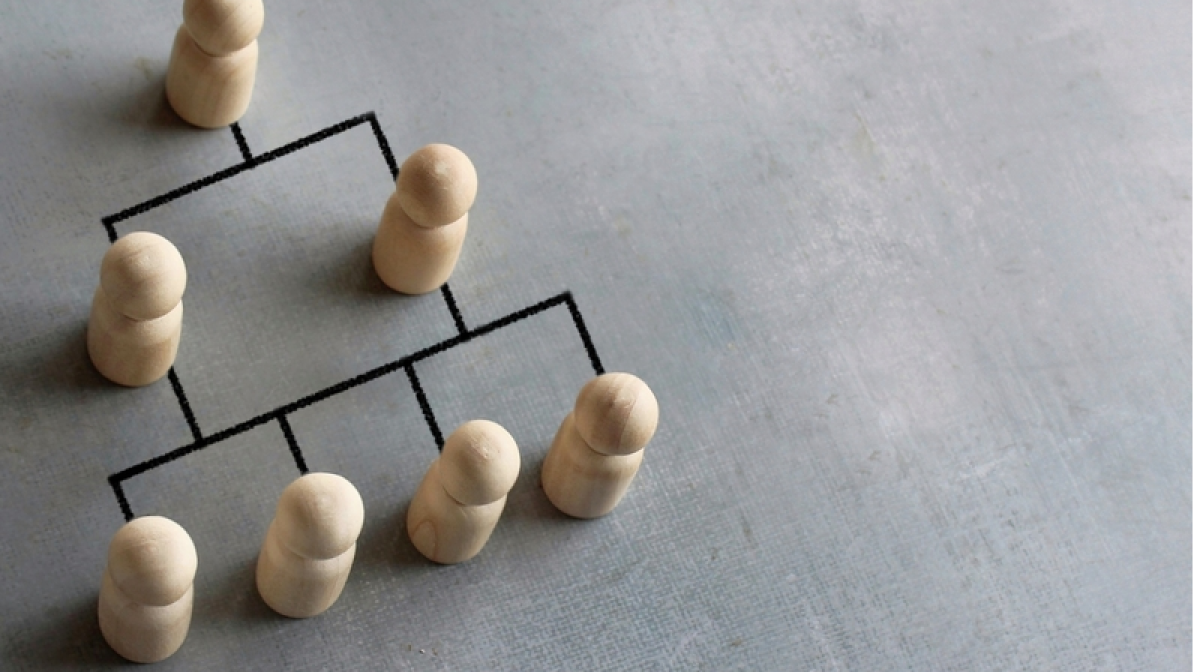 How Businesses Can Navigate Bureaucracy to Accelerate Growth
